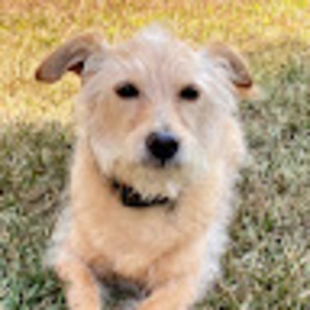 Meet your Posher, Gillian